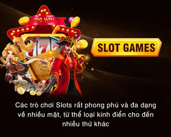 Tùy chọn trên Trang web WM88