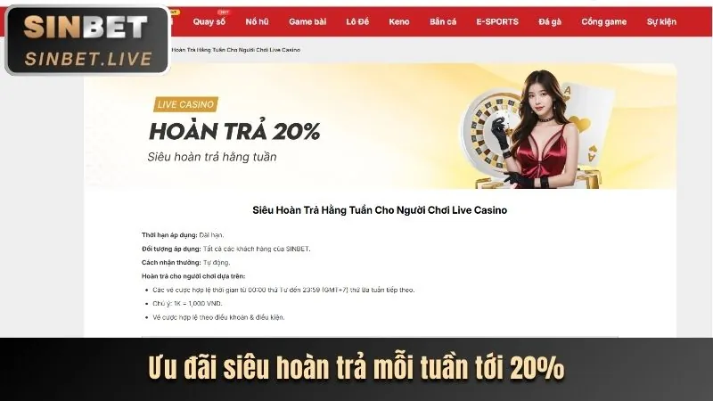Công cụ Tự giới hạn và Hỗ trợ